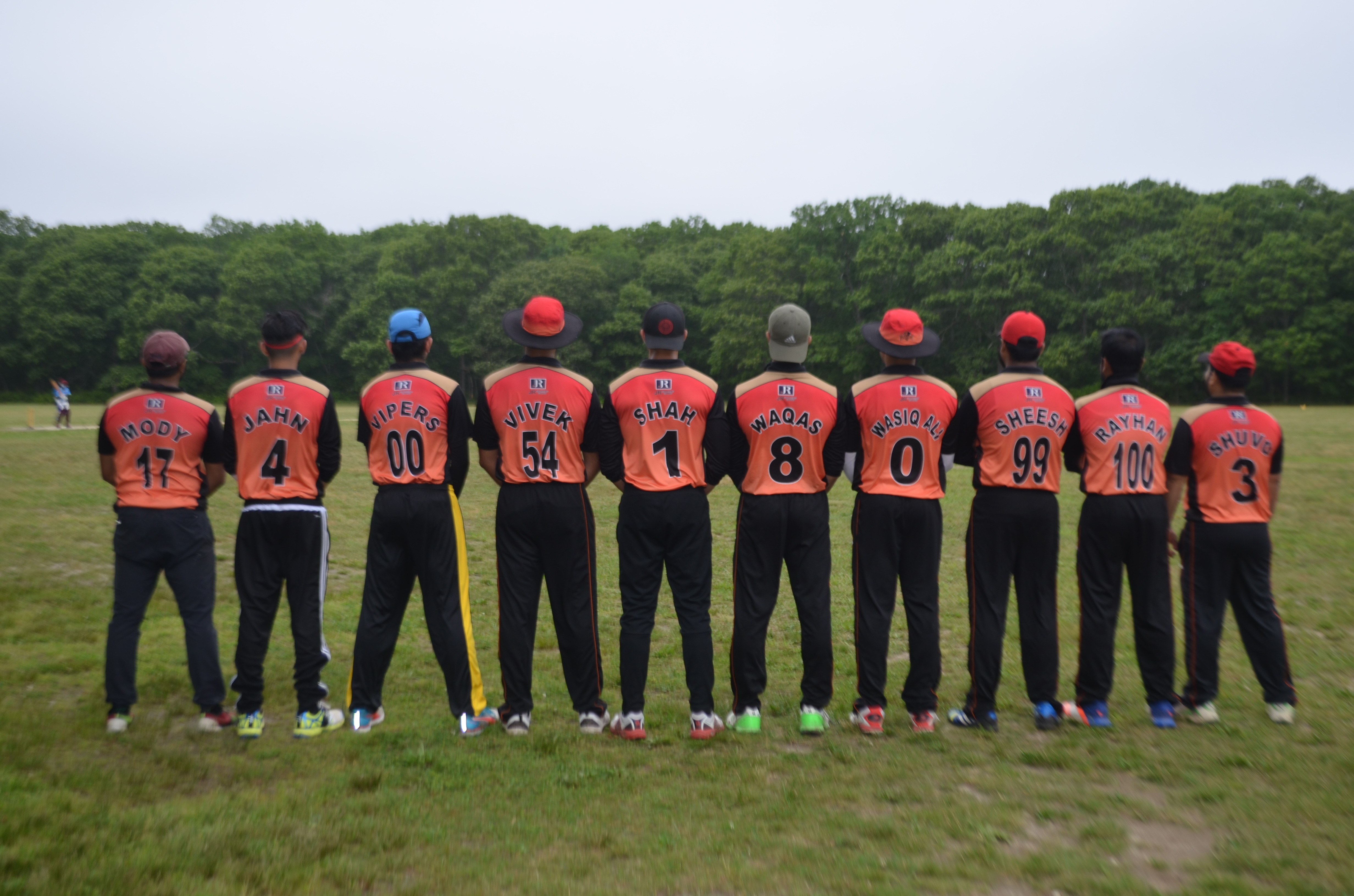 Vipers 2016